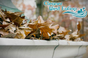 gutter-cleaners-west-ealing